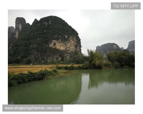 《欧洲杯战术演变:从防守反击到控球打法的革新与挑战》 《欧洲杯战术演变:从防守反击到控球打法的革新与挑战》