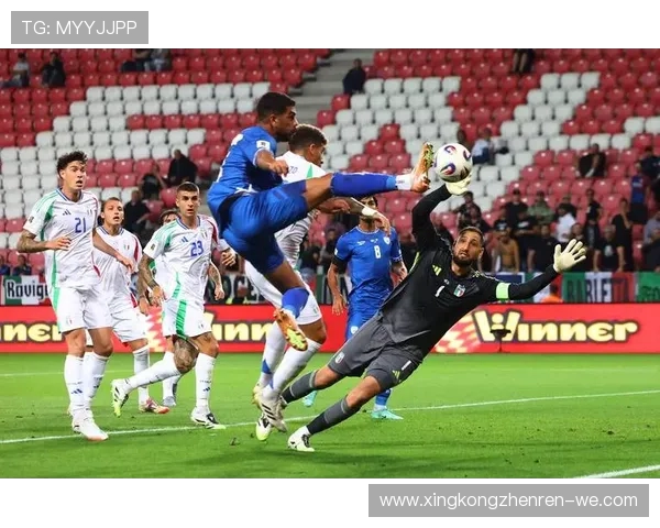 世预赛激战正酣篮板争夺成胜负关键全面解析攻防博弈新趋势